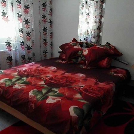 Apartament Ela Elegance Apartment Orsova Bagian luar foto