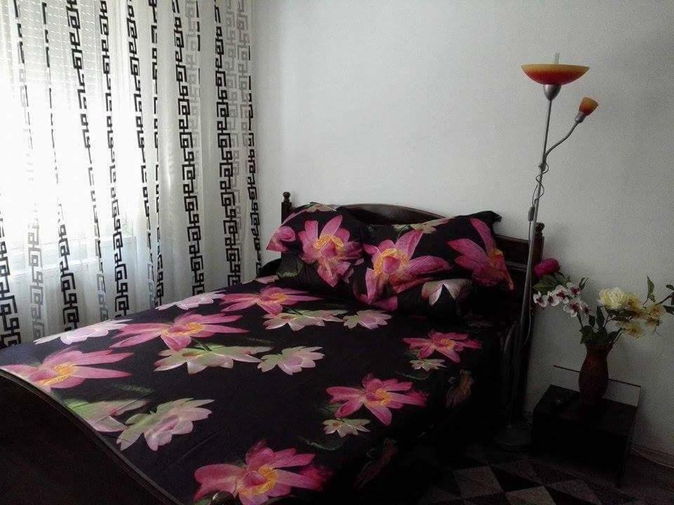 Apartament Ela Elegance Apartment Orsova Bagian luar foto